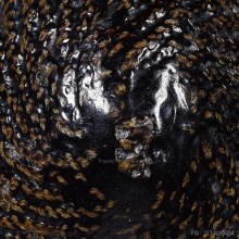 >>>..,เบี้ยแก้ หลวงปู่เพิ่ม วัดกลางบางแก้ว ห่วงโทเร ดูง่าย