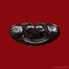 พระปิดตาเมฆพัดหลวงพ่อเต๋วัดสามง่ามจ.นครปฐม