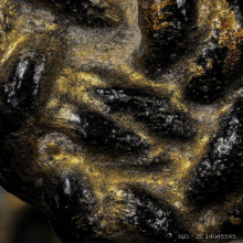 พิรอดแขน หลวงพ่อม่วง วัดบ้านทวน