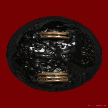 เบี้ยแก้หลวงปู่เพิ่มวัดกลางบางแก้ว ยุคต้น(2)