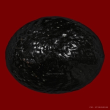 เบี้ยแก้หลวงปู่เพิ่มวัดกลางบางแก้ว ยุคต้น(2)