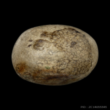 ลูกอมมหากัน 