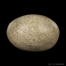 ลูกอมมหากัน 