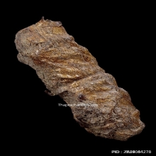 ตะกรุดหนังหน้าผากเสือ หลวงพ่อจง วัดหน้าต่างนอก