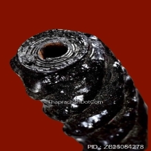 “ตะกรุดโทนสมเด็จพระนเรศวรมหาราช“ หลวงพ่อสมภพ วัดสาลีโข