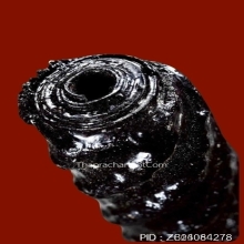 “ตะกรุดโทนสมเด็จพระนเรศวรมหาราช“ หลวงพ่อสมภพ วัดสาลีโข