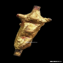 วัวธนูครูบานันตา วัดทุ่งม่านใต้ ปี2500