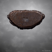 พระชัยพุทธปริตหลวงปู่ดุลย์ อตุโล วัดบูรพาราม ปี2515