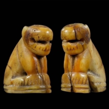 เสือหลวงพ่อปาน คลองด่าน