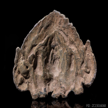 พระศิวะปางนาฎราช