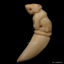 เสืองาแกะ หลวงพ่อคง วัดวังสรรพรส