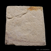 พระสมเด็จหลวงปู่นาควัดระฆัง