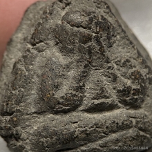 พระปิดตา เนื้อผงคลุกรัก เก่ามีอายุ 