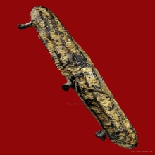 ตะกรุดสามห่วง หลวงปู่บุญ วัดกลางบางแก้ว (หนังเสือ)