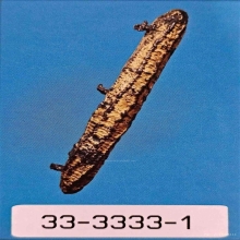 ตะกรุดสามห่วง หลวงปู่บุญ วัดกลางบางแก้ว (หนังเสือ)