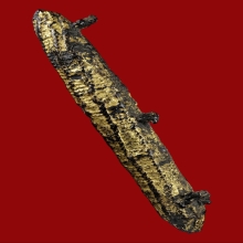 ตะกรุดสามห่วง หลวงปู่บุญ วัดกลางบางแก้ว (หนังเสือ)