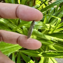 หลวงพ่อกัน เหรียญเสมาหลังประกบปีมะแม