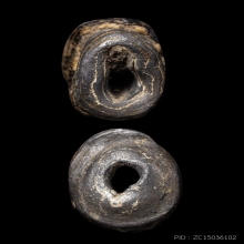 +บัตรสมาคม&บัตรการันตีพระ ตะกรุดจันทร์เพ็ญหลวงปู่ศุข