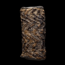 +บัตรสมาคม&บัตรการันตีพระ ตะกรุดจันทร์เพ็ญหลวงปู่ศุข