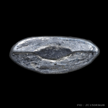 พระชัยวัฒน์หลวงปู่บุญ วัดกลางบางแก้ว เนื้อขี้นกเขาเปล้า