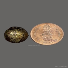 ลูกอมผงยาดำเจ็ดพญาช้างสารหลวงพ่อดิ่ง วัดบางวัว( ตัวจริง )