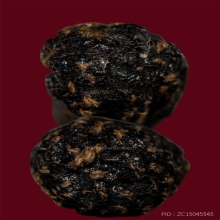 ตะกรุดสาริกา(หนังหน้าผากเสือ) หลวงพ่อเต๋ วัดสามง่าม