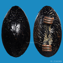 >>>..,เบี้ยแก้ หลวงปู่เพิ่ม วัดกลางบางแก้ว รักหนา ดูง่าย