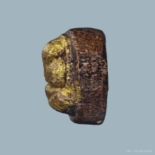 พระปิดตาหลวงพ่อภุชงค์วัดช่องลม ปี2504