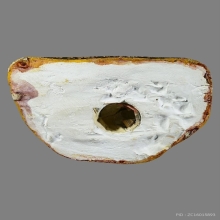 รูปหลวงหลวงปู่ดู่ วัดสะแก ปี 25