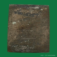 หลวงปู่ศุข พิมพ์ทรงครุฑ 