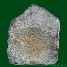 พระร่วงนั่งใบมะยม กรุช่างกลพิมพ์หายาก สวยเดิมล่าโลห์