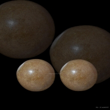 ลูกอมหลวงพ่อแก้ว วัดบ่อฝ้าย เนื้อผง จ.ปทุมธานี