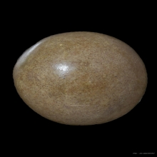 ลูกอมหลวงพ่อแก้ว วัดบ่อฝ้าย เนื้อผง จ.ปทุมธานี