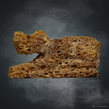 เสือกรามช้างน้ำ หลวงปู่ทิม แห่งวัดละหารไร่ 