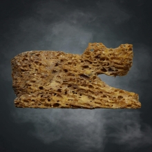 เสือกรามช้างน้ำ หลวงปู่ทิม แห่งวัดละหารไร่ 