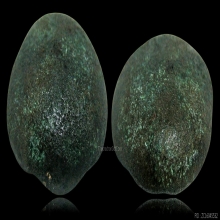 เม็ดกระดุมหลวงพ่อทับ วัดอนงค์ เนื้อเมฆสิทธิ์ 