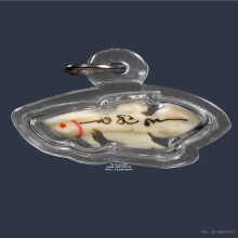 ปลากัดงา หลวงพ่อน่วม วัดโพธิ์ศรีเจริญ