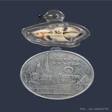 ปลากัดงา หลวงพ่อน่วม วัดโพธิ์ศรีเจริญ