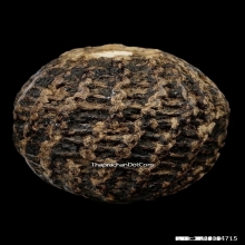 ลูกอมหลวงพ่อปลอด วัดในปากทะเล จ.เพชรบุรี