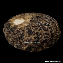 ลูกอมหลวงพ่อปลอด วัดในปากทะเล จ.เพชรบุรี