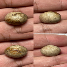 ลูกอมมหากัน หลวงพ่อคง วัดบางกะพ้อม