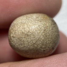 ลูกอมมหากัน หลวงพ่อคง วัดบางกะพ้อม