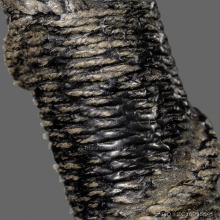 ตะกรุด หลวงพ่อมุ่ย วัดดอนไร่ ยุคต้น 