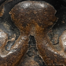 ปิดตาปลัดผัน วัดโบสถ์(ผสมผงหลวงพ่อแก้ว)