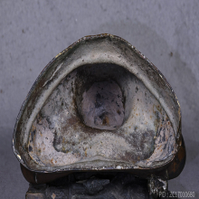 สุโขทัย หน้าตัก 7 นิ้ว