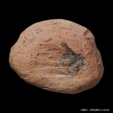 พระซุ้มศรีวิชัย (เม็ดกระดุม) พิมพ์ชลูด เขาศรีวิชัย