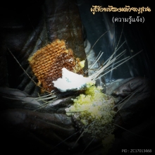 รูปเหมือนหลวงตามหาบัว เมตตาบารมี นวะก้นเงิน(กรรมการ)