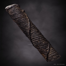 ตะกรุดโทน หลวงพ่อปาน วัดบางเหี้ย