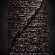 ตะกรุดโทน หลวงพ่อปาน วัดบางเหี้ย