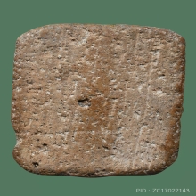 หลวงพ่อปานพิมพ์ขี่นก